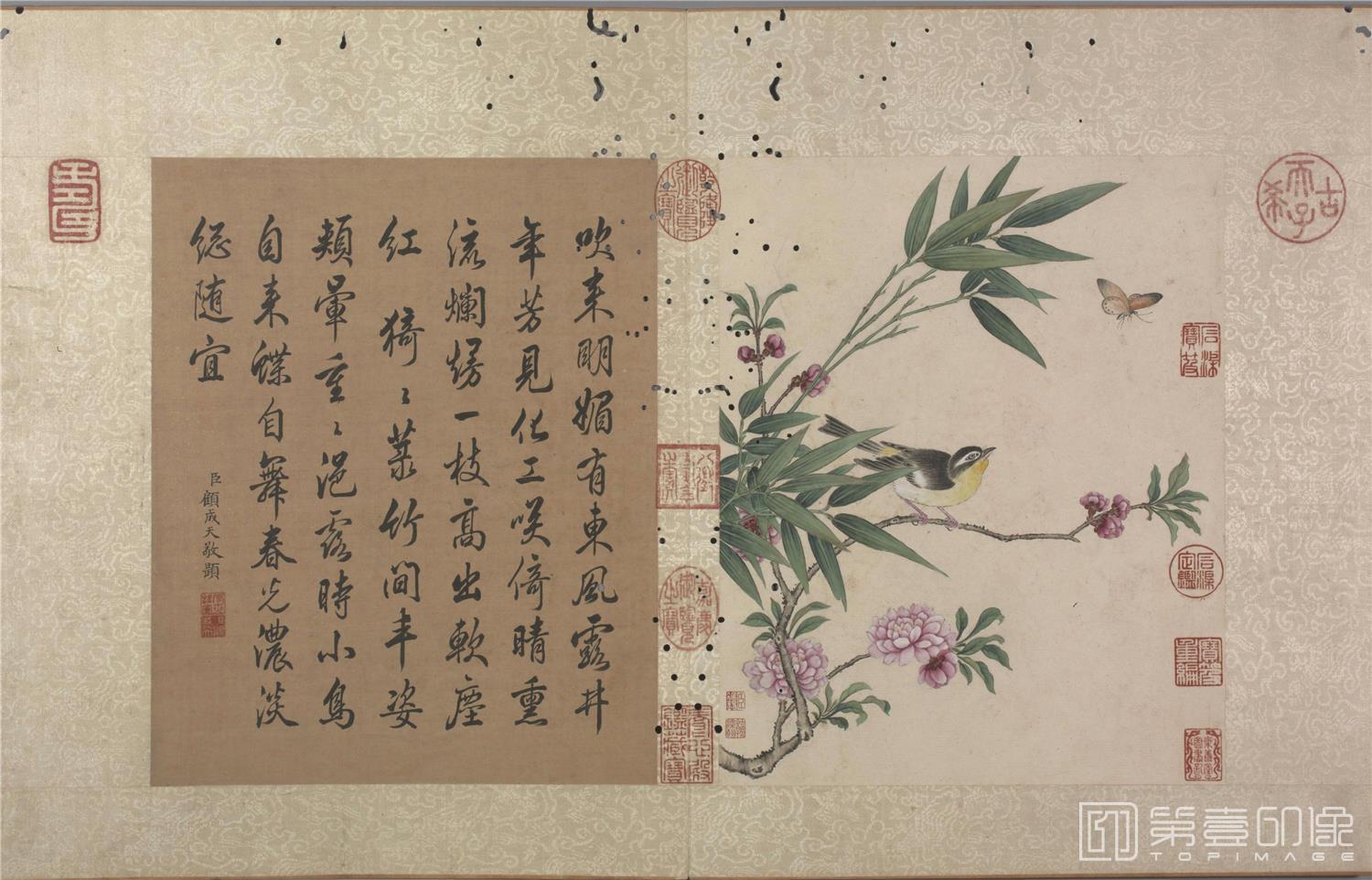 花卉虫草册24帧-10 40x40.2cm-未知-水彩画作品-第壹印像